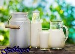 تلاش وزیر جهادکشاورزی جهت زیاد کردن زیاد قیمت شیرخام ، ستاد تنظیم باز